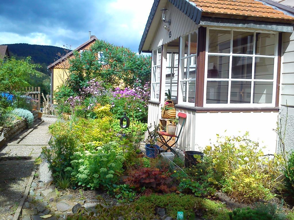 Landhaus Lautenthal المظهر الخارجي الصورة